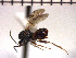  ( - DNE-ON1)  @13 [ ] Unspecified (default): All Rights Reserved  Unspecified Unspecified