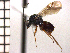  ( - DNE-ON10)  @13 [ ] Unspecified (default): All Rights Reserved  Unspecified Unspecified