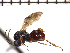  ( - DNE-ON2)  @14 [ ] Unspecified (default): All Rights Reserved  Unspecified Unspecified
