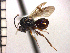  ( - DNE-ON3)  @13 [ ] Unspecified (default): All Rights Reserved  Unspecified Unspecified
