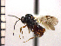 ( - DNE-ON5)  @13 [ ] Unspecified (default): All Rights Reserved  Unspecified Unspecified