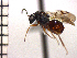  ( - DNE-ON6)  @14 [ ] Unspecified (default): All Rights Reserved  Unspecified Unspecified