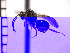  ( - DNE-ON7)  @12 [ ] Unspecified (default): All Rights Reserved  Unspecified Unspecified