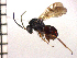  ( - DNE-ON9)  @13 [ ] Unspecified (default): All Rights Reserved  Unspecified Unspecified