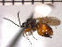  ( - DRD-ON16)  @13 [ ] Unspecified (default): All Rights Reserved  Unspecified Unspecified