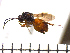  ( - DRD-ON17)  @13 [ ] Unspecified (default): All Rights Reserved  Unspecified Unspecified
