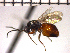  ( - DRD-ON20)  @13 [ ] Unspecified (default): All Rights Reserved  Unspecified Unspecified
