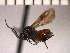  ( - DRO-C10)  @13 [ ] Unspecified (default): All Rights Reserved  Unspecified Unspecified
