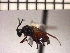  ( - DRO-C2)  @13 [ ] Unspecified (default): All Rights Reserved  Unspecified Unspecified