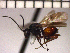  ( - DRO-C3)  @13 [ ] Unspecified (default): All Rights Reserved  Unspecified Unspecified