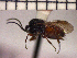  ( - DRO-C4)  @13 [ ] Unspecified (default): All Rights Reserved  Unspecified Unspecified
