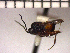  ( - DRO-C5)  @13 [ ] Unspecified (default): All Rights Reserved  Unspecified Unspecified