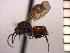  ( - DRO-C6)  @13 [ ] Unspecified (default): All Rights Reserved  Unspecified Unspecified