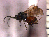  ( - DRO-C7)  @13 [ ] Unspecified (default): All Rights Reserved  Unspecified Unspecified