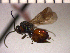  ( - DRO-C8)  @13 [ ] Unspecified (default): All Rights Reserved  Unspecified Unspecified