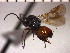  ( - DRO-C9)  @13 [ ] Unspecified (default): All Rights Reserved  Unspecified Unspecified