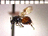  ( - DRO-E1)  @13 [ ] Unspecified (default): All Rights Reserved  Unspecified Unspecified