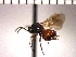  ( - DRO-E2)  @13 [ ] Unspecified (default): All Rights Reserved  Unspecified Unspecified