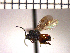  ( - DRO-E3)  @13 [ ] Unspecified (default): All Rights Reserved  Unspecified Unspecified