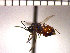  ( - DRO-E4)  @13 [ ] Unspecified (default): All Rights Reserved  Unspecified Unspecified