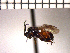 ( - DRO-E5)  @13 [ ] Unspecified (default): All Rights Reserved  Unspecified Unspecified