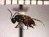  ( - DROSAE-C2)  @13 [ ] Unspecified (default): All Rights Reserved  Unspecified Unspecified