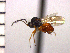  ( - DRS-C11)  @13 [ ] Unspecified (default): All Rights Reserved  Unspecified Unspecified