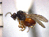  ( - DRS-C12)  @13 [ ] Unspecified (default): All Rights Reserved  Unspecified Unspecified