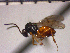  ( - DRS-C13)  @13 [ ] Unspecified (default): All Rights Reserved  Unspecified Unspecified