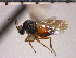  ( - DRS-C14)  @13 [ ] Unspecified (default): All Rights Reserved  Unspecified Unspecified