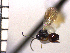  ( - DRS-W11)  @13 [ ] Unspecified (default): All Rights Reserved  Unspecified Unspecified
