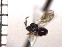  ( - DRS-W12)  @13 [ ] Unspecified (default): All Rights Reserved  Unspecified Unspecified