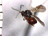  ( - DRS-W13)  @13 [ ] Unspecified (default): All Rights Reserved  Unspecified Unspecified