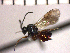  ( - DRS-W14)  @13 [ ] Unspecified (default): All Rights Reserved  Unspecified Unspecified