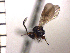  ( - DRS-W15)  @13 [ ] Unspecified (default): All Rights Reserved  Unspecified Unspecified