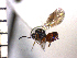  ( - DRS-W16)  @13 [ ] Unspecified (default): All Rights Reserved  Unspecified Unspecified