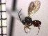  ( - DRS-W17)  @13 [ ] Unspecified (default): All Rights Reserved  Unspecified Unspecified
