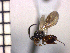  ( - DRS-W18)  @13 [ ] Unspecified (default): All Rights Reserved  Unspecified Unspecified