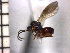  ( - DRS-W19)  @13 [ ] Unspecified (default): All Rights Reserved  Unspecified Unspecified