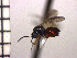  ( - DRS-W20)  @13 [ ] Unspecified (default): All Rights Reserved  Unspecified Unspecified