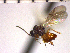  ( - DRS-W3)  @13 [ ] Unspecified (default): All Rights Reserved  Unspecified Unspecified