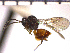  ( - DRS-W4)  @14 [ ] Unspecified (default): All Rights Reserved  Unspecified Unspecified