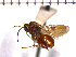  ( - DSD-ON3)  @14 [ ] Unspecified (default): All Rights Reserved  Unspecified Unspecified