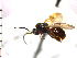  ( - DSW-AB3)  @13 [ ] Unspecified (default): All Rights Reserved  Unspecified Unspecified