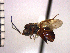  ( - DSW-AB6)  @13 [ ] Unspecified (default): All Rights Reserved  Unspecified Unspecified