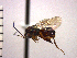  ( - DSW-AB7)  @13 [ ] Unspecified (default): All Rights Reserved  Unspecified Unspecified