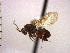  ( - DSW-AB8)  @13 [ ] Unspecified (default): All Rights Reserved  Unspecified Unspecified