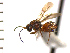  ( - DSW-ON1)  @14 [ ] Unspecified (default): All Rights Reserved  Unspecified Unspecified