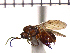  ( - DSW-ON12)  @14 [ ] Unspecified (default): All Rights Reserved  Unspecified Unspecified