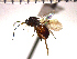  ( - DSW-ON16)  @14 [ ] Unspecified (default): All Rights Reserved  Unspecified Unspecified